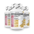 Spermidín - Spermidine, extrakt z pšeničných klíčkov (30 kapsúl)